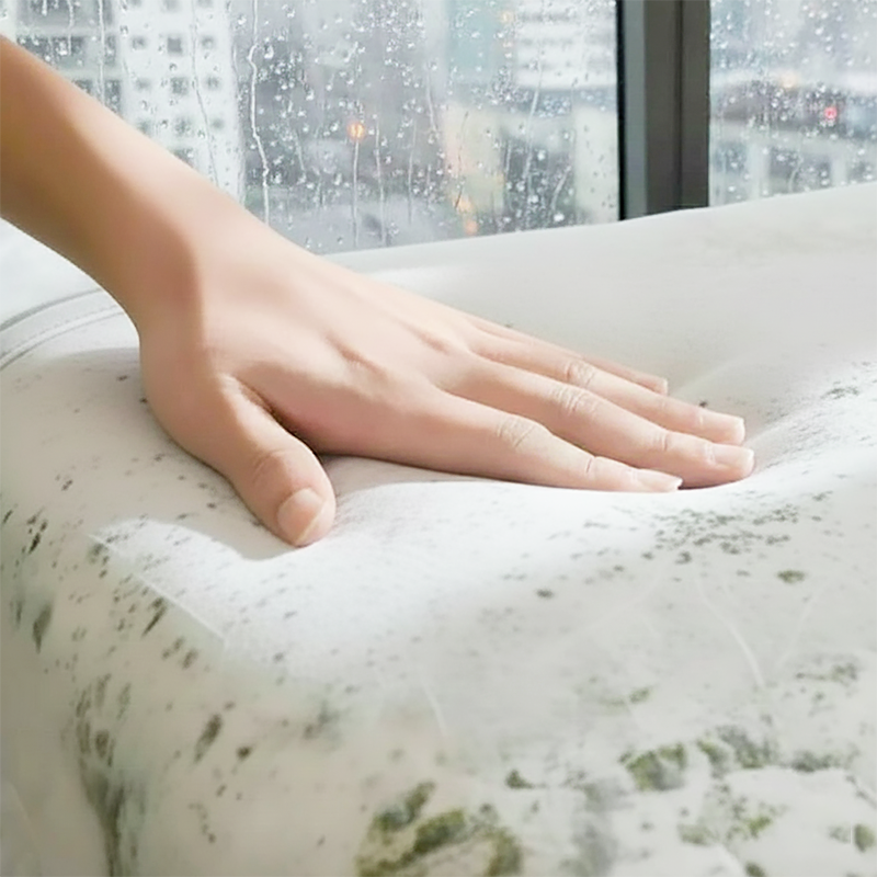 ② Consideration of climate, humidity, and allergies